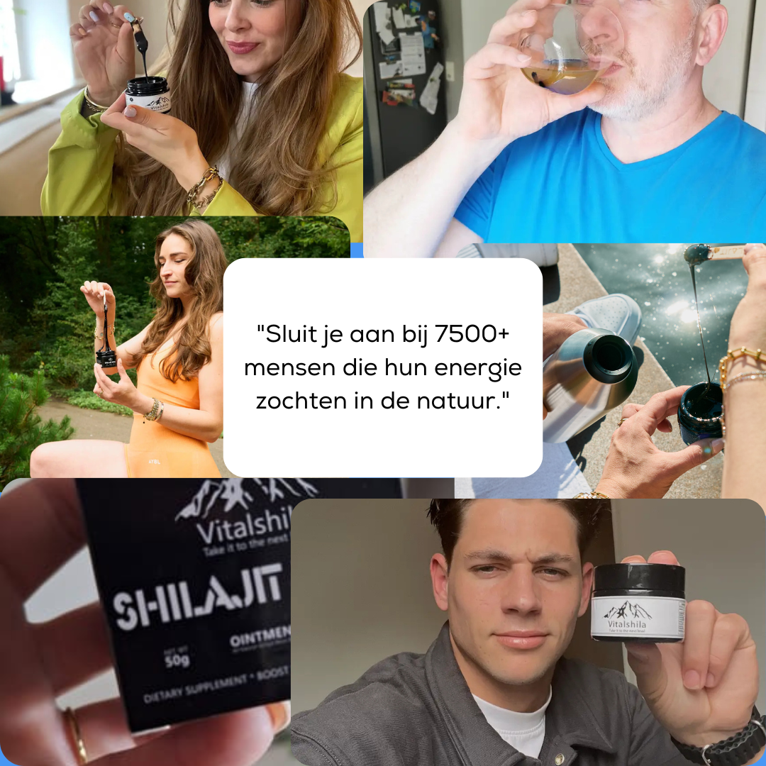 Reines Himalaya Shilajit