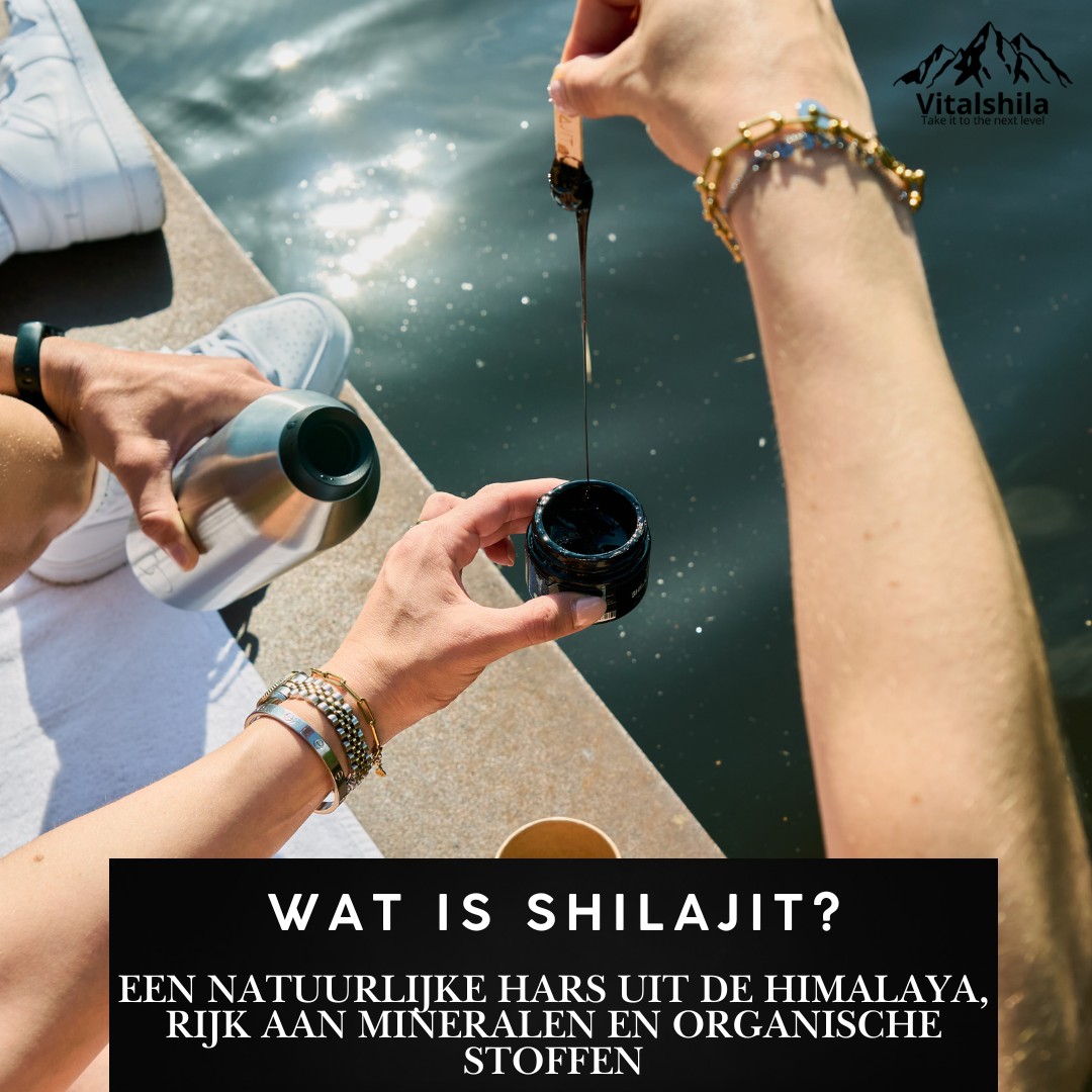 Pure Himalaya Shilajit